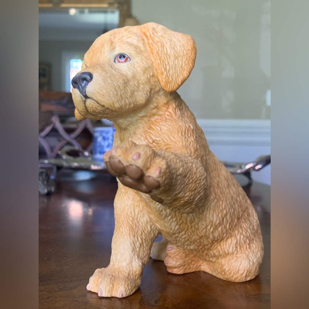 Lenox Yellow Labrador Retriever - Picture 9 of 14